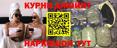 индика Гай