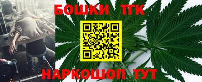 индика Гай