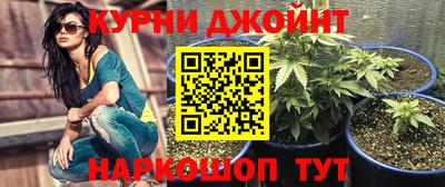спайс Гатчина