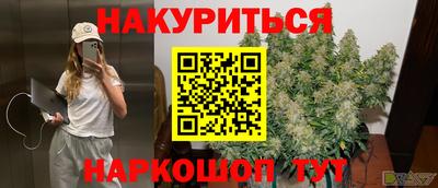 спайс Гатчина